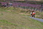 FOM_2804