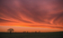 A New Dawn 30th March 2015