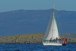 Palludine - Ushuaia (Argentina)