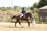 SBM_001774