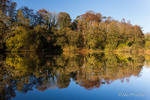 Reflection at Duncan's Dam, Lisburn.