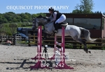 BPP_8242