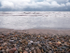 HASTINGS BEACH - LONG POINT