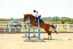 SBM_006202