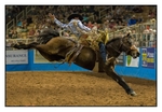 Saddle Bronc 4