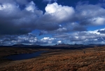 Sutherland Skies
