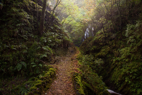 Dhoon Glen. The deepest Glen on the Island. The water cascading down 160 foot in 3 falls. Here at the bottom it's lik…