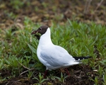 20100501-WE 006