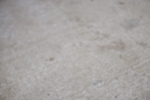 SBM_001724