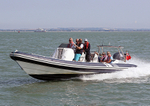 130827 COBRA RIB WT7A3803