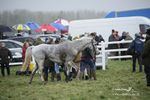 PtP 020122 243