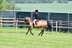 SBM_13991