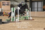 BPP_6533