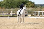 SBM_003339