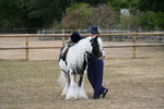 WJ7_6827