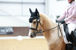 Class 8-7 - MQ Open P2 portfolio