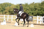 SBM_008533