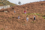 Stybarrow Dodd-782