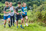Grasmere-100