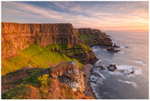 Causeway Flowers, Giants Causeway (IMG1148)