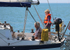 140729 SCOT FREE GBR1443T WT7A1845