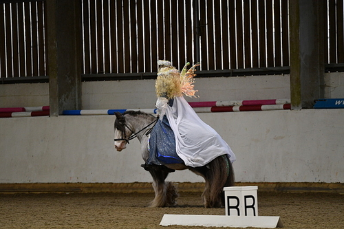 Dressage To Music