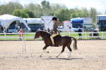 SBM_13334