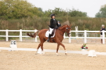 SBM_01429