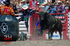 3HRodeo_CFD_JUL_17_2026_03685