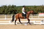 SBM_003749