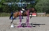 BPP_7964