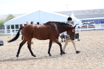 SBM_01914