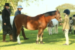 SBM_57444