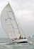 110712 DESPERADO GBR1665 IMG_0459