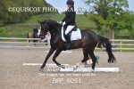 BPP_6051