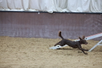 SBM_004474