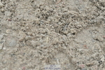 230312A-150054-02645