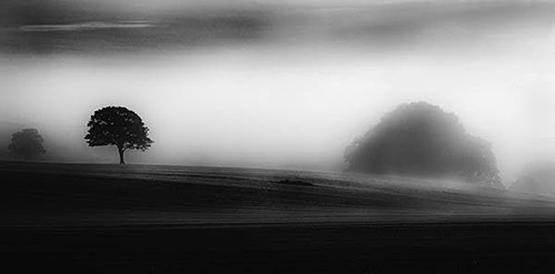 MONOCHROME LANDSCAPES