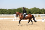 SBM_005075