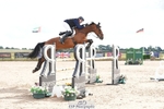 Cls 30 Redpost Equestrian Senior Foxhunter portfolio