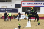 SBM_09674