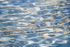 RIPPLES, DYERS BAY, 2015 - GEORGIAN BAY
