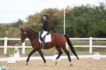 Class 7 - Novice 2 Warm Up portfolio