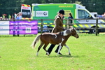 SBM_03555