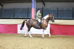 SBM_12462