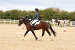SBM_001321