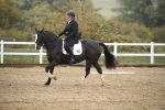 SBM_001473
