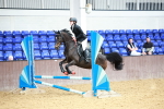 SBM_000223