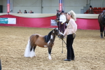 SBM_17175