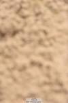 230813A-110636-11910